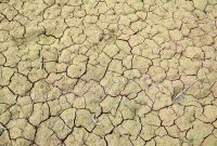 Environmental News Shifting Buying Habits Unveiled